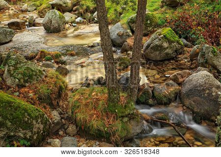 Stream With Rocks And Moss In The Forest
