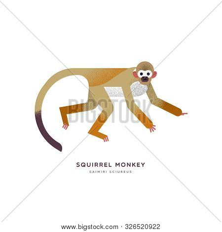 Squirrel Monkey Animal Illustration On Isolated White Background. Educational Wildlife Design With F
