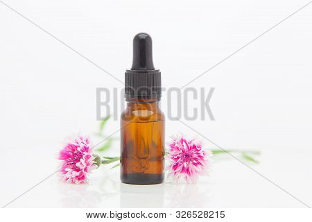Essence Of Knapweed Flowers On White Background In Beautiful Glass Bottle