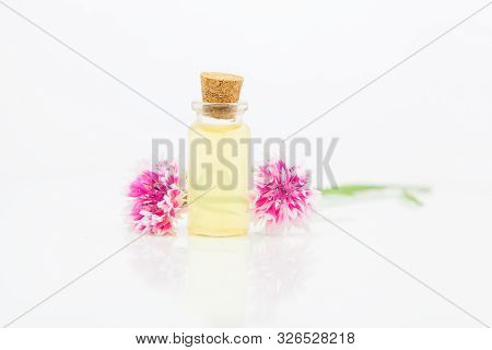 Essence Of Knapweed Flowers On White Background In Beautiful Glass Bottle