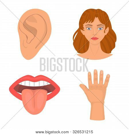 Vector Illustration Of Body And Part Sign. Collection Of Body And Anatomy Vector Icon For Stock.