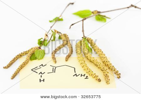 Alergiczny nieżyt nosa