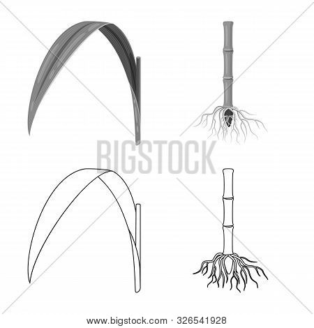 Vector Illustration Of Farm And Agriculture Sign. Set Of Farm And Technology Vector Icon For Stock.
