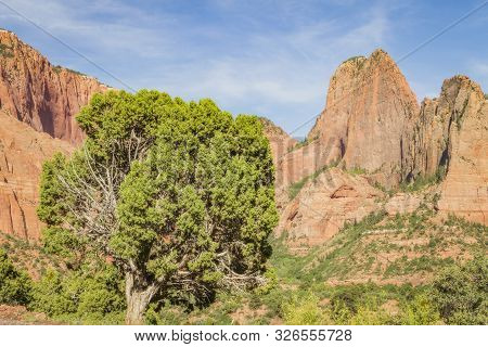 Kolob Canyons In Zion National Park, Utah