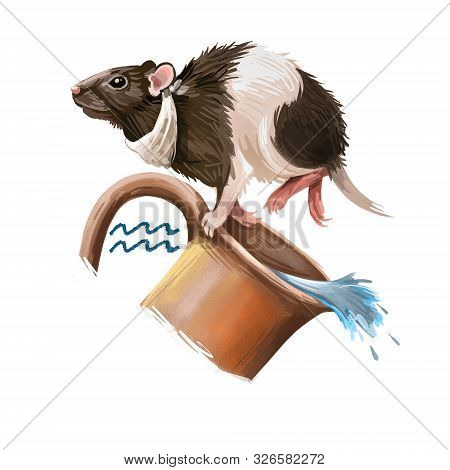 Aquarius Creative Digital Illustration Of Astrological Sign. Rat Sor Mouse Symboll Of 2020 Year Sign