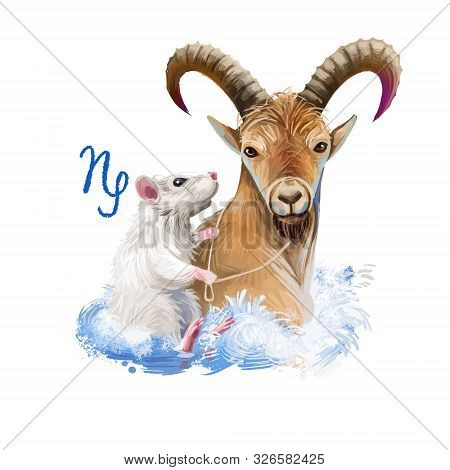 Capricorn Creative Digital Illustration Of Astrological Sign. Rat Or Mouse Symboll Of 2020 Year Sign
