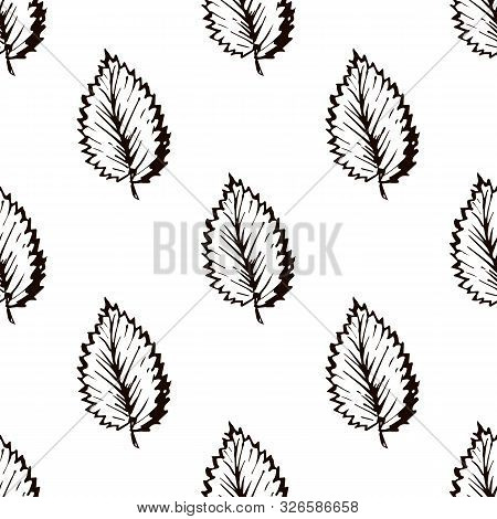 Seamless Pattern With Hand Drawn Elm Leaves