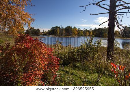 Seney National Wildlife Refuge. Wetlands And Autumn Foliage At The Seney National Wildlife Refuge In