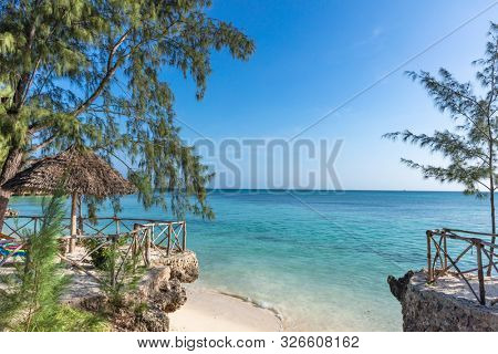 coastline beach seaside of Kizimkazi in Unguja aka Zanzibar Island Tanzania East Africa