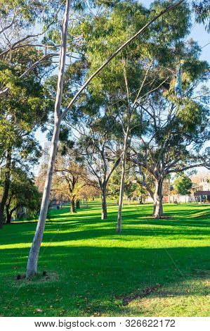 Ievers Reserve In Parkville Is An Inner Urban Park In Parkville In Melbourne, Australia.