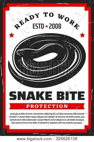 Snake Bite Protection Prevention Rules. Vector Poisonous Reptile Animal, Dangerous Toxic Viper, Meas