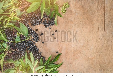 Clusters Fruit Black Elderberry On A Wooden Background (sambucus Nigra). Elder, Black Elder. Europea