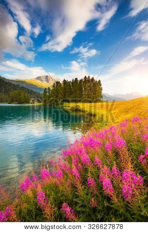 Majestic view of the azure pond Champfer. Location place of resort Silvaplana village, Swiss alps, Maloja pass, Switzerland, Europe. Popular tourist attraction. Discover the beauty of earth.