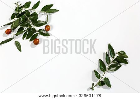 Branch With Leaves And Fruits Of The Date Tree