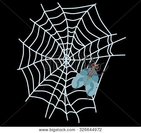 Spider Web On A Dark Background Vector Work. The Fly Is Tangled In The Net