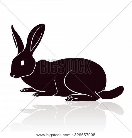 Rabbit Silhouette Vector Illustration Isolated On White Background