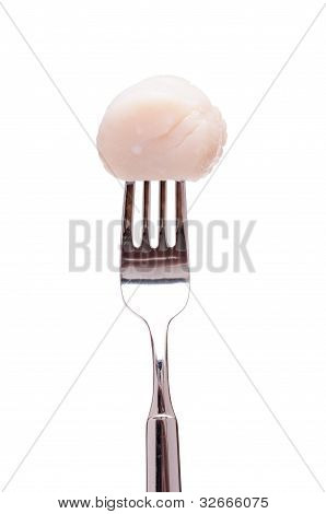 Scallop Shell On A Fork