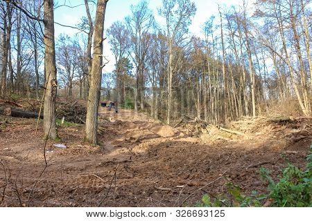Pipeline Laying Through The Forest And Clearing