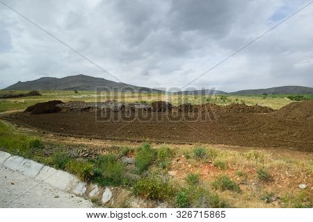 Piles Of Manure In The Field. Cow And Horse Manure With Land.
