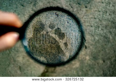 Hand Holding A Magnifying Glass Searching For A Footstep Track On The Ground, Crime Invetigations