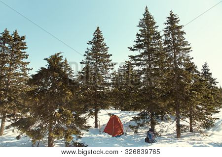 Touristic Tent In Winter Firry Forest In Ski Tour.