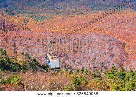 Aerial view of red leaf autumn fall season for Forest wodland From Hakkoda Mountain with Hakkoda Ropeway in Aomori Tohoku Japan
