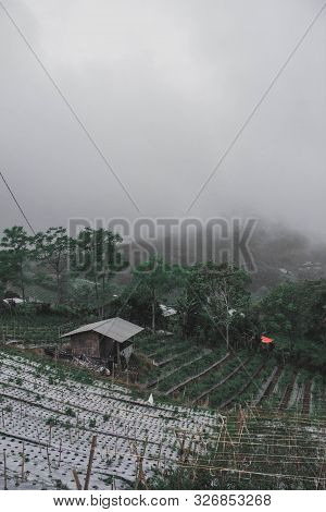 Foggy Country Which Is Located At The Foot Of Mount Singglang Where There Are People Gardening And L