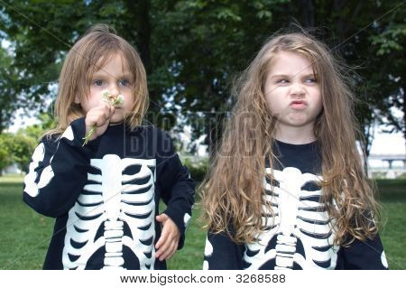 Hallowen Skelette