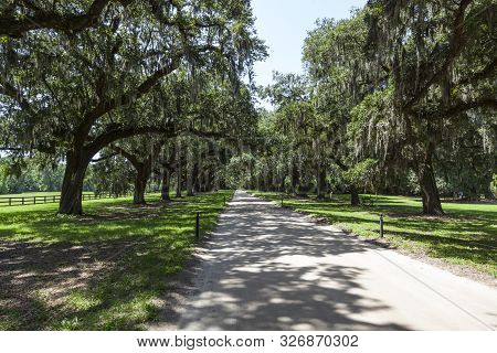 Mt.  Pleasant, Usa - Jul 21, 2010: Beautiful Oak Way In South Carolina At Boone Hall Plantation.