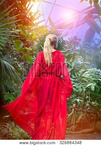 Beautiful Pregnant Girl Blonde In Red In The Park