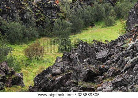 Late summer landscape in Pingvellir National Park, Iceland, Europe