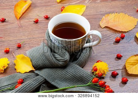 Autumn Tea Mug Wrapped In A Warm Scarf