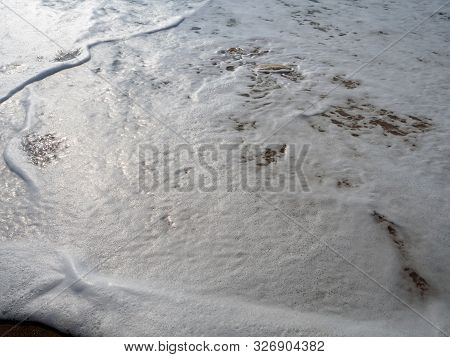 Signed Sea Green Turtle Nest On Lara Bay Turtle Beach , Akamas, Cyprus