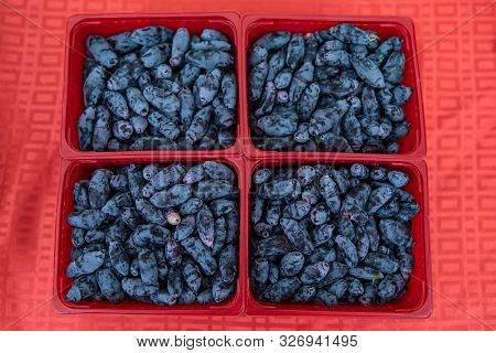 A Top Down View Of Small Plastic Tubs Filled With Haskap Berries (lonicera Caerulea), Aka Honeysuckl