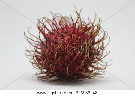 Rambutan Fruit On A Dark White Background