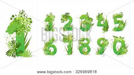 Green Leaves Font. Vector Illustration. Stylish Eco Alphabet From Colorful Tropical Leaves, Bushes, 