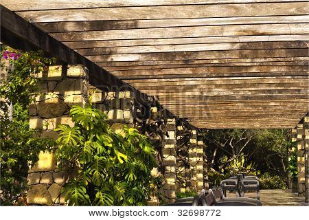 Pergola botanisk have træ sten solrige bænke barcelona Europa