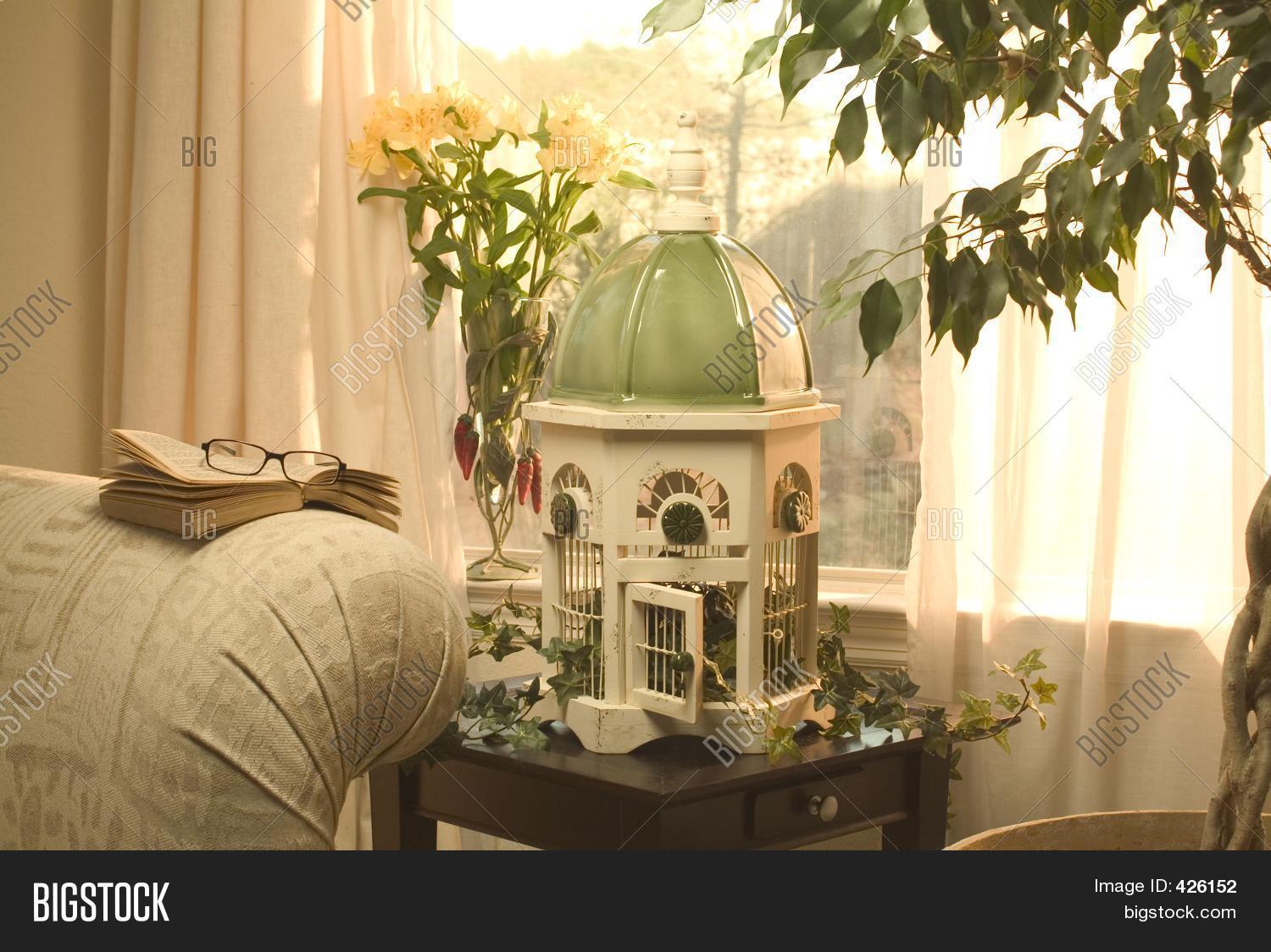 Interior Bird Cage Image & Photo (Free Trial) Bigstock