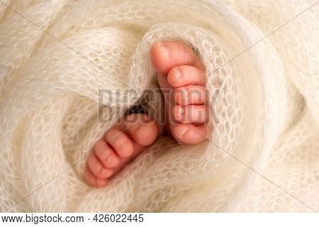 Feet Of A Newborn Close-up In A Woolen Blanket. Pregnancy, Motherhood, Preparation And Expectation O