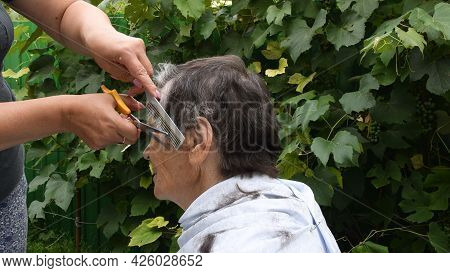 Woman Hands Trim Hair On Temple Of Senior Person With Half Gray Haired Short Haircut. Female Hands H
