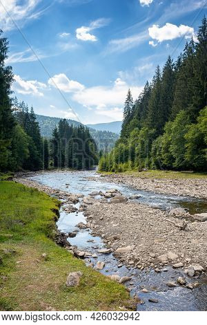 Mountain River Runs Through Forested Valley. Countryside Scenery On A Summer Day. Trees And Stones O