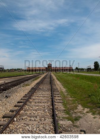 Auschwitz-Birkenau Polonya
