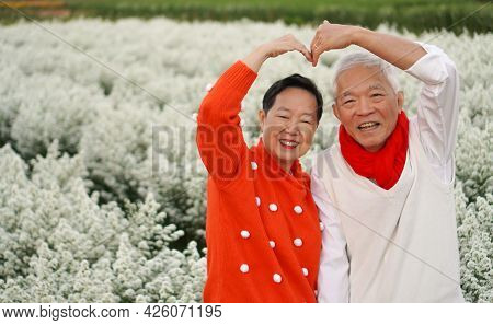 Asian Senior Eldery Couple Hug Sweater Celecrate Christmas And New Year Holiday Morning In Beautiful