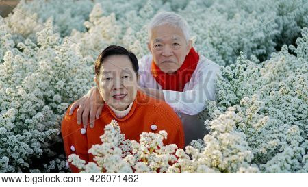 Asian senior eldery couple hug sweater celecrate Christmas and New Year holiday morning in beautiful