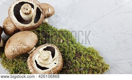 An Environmentally Friendly Product Mushrooms. Summer  Foood.