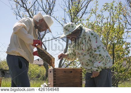 Beekeeper Is Working With Bees And Beehives On The Apiary. To Restack A Hive, To Sample A Colony Of 