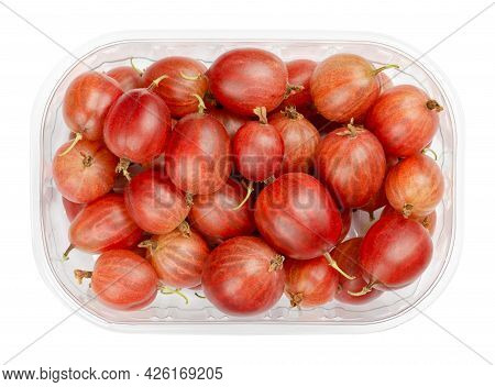 Red Gooseberries In A Plastic Container. Fresh And Ripe Berries, Fruits Of Ribes Uva-crispa, Also Eu