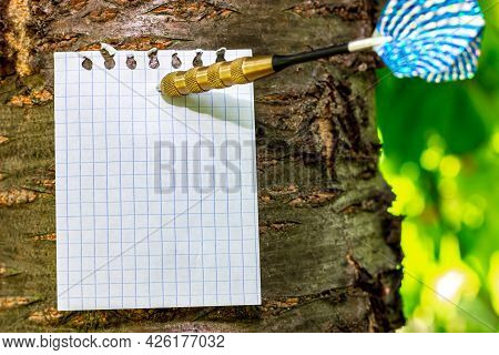A Blank Checkered Leaf Pinned To A Tree. Place For A Note. Note On The Tree.