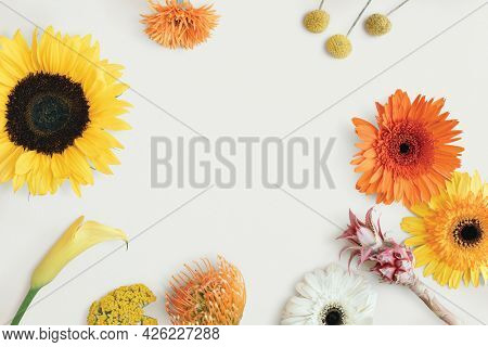 Colorful flower frame on a white background