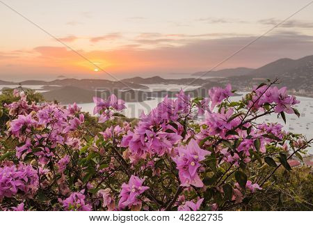 Solnedgang Over Charlotte Amalie St Thomas